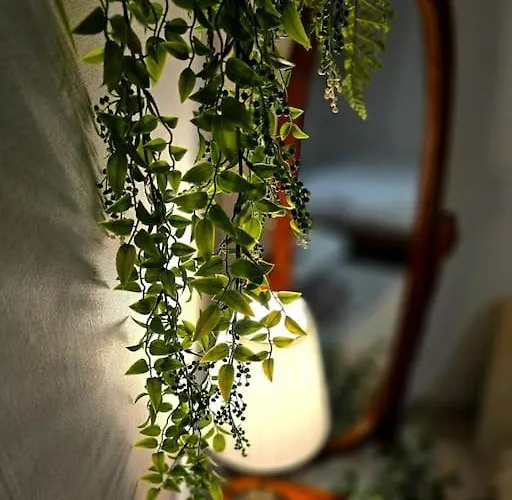 Healing & Romang House *